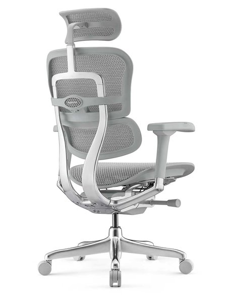 Кресло ERGOHUMAN ELITE 2 (EHE2-AG-HAM-5D-L, сетка T-168-B2 Natural), ергономичное