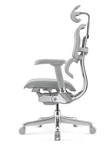 Кресло ERGOHUMAN ELITE 2 (EHE2-AG-HAM-5D-L, сетка T-168-B2 Natural), ергономичное