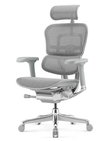Кресло ERGOHUMAN ELITE 2 (EHE2-AG-HAM-5D-L, сетка T-168-B2 Natural), ергономичное