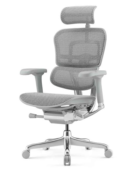 Кресло ERGOHUMAN ELITE 2 (EHE2-AG-HAM-5D-L, сетка T-168-B2 Natural), ергономичное