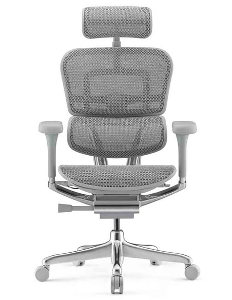 Кресло ERGOHUMAN ELITE 2 (EHE2-AG-HAM-5D-L, сетка T-168-B2 Natural), ергономичное
