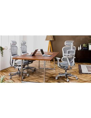 Кресло ERGOHUMAN ELITE 2 (EHE2-AG-HAM-5D-L, сетка T-168-B2 Natural), эргономичное