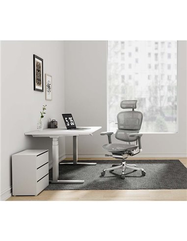 Кресло ERGOHUMAN ELITE 2 (EHE2-AG-HAM-5D-L, сетка T-168-B2 Natural), эргономичное
