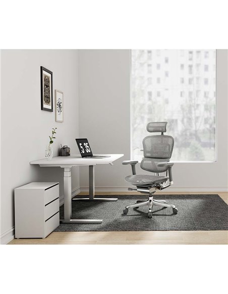 Кресло ERGOHUMAN ELITE 2 (EHE2-AG-HAM-5D-L, сетка T-168-B2 Natural), эргономичное