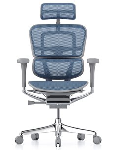 Кресло ERGOHUMAN ELITE 2 (EHE2-AG-HAM-5D-L, сетка T-168-B4 Cobalt), эргономичное