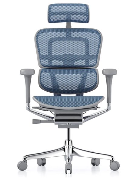 Кресло ERGOHUMAN ELITE 2 (EHE2-AG-HAM-5D-L, сетка T-168-B4 Cobalt), эргономичное