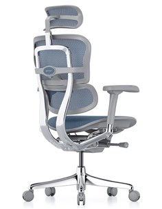 Кресло ERGOHUMAN ELITE 2 (EHE2-AG-HAM-5D-L, сетка T-168-B4 Cobalt), эргономичное 2
