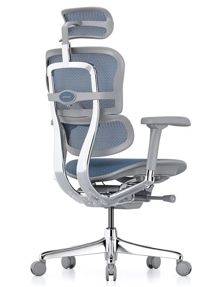 Кресло ERGOHUMAN ELITE 2 (EHE2-AG-HAM-5D-L, сетка T-168-B4 Cobalt), эргономичное