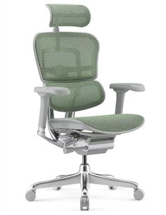 Кресло ERGOHUMAN ELITE 2 (EHE2-AG-HAM-5D-L, сетка T-168-B6 Green), эргономичное
