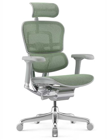 Кресло ERGOHUMAN ELITE 2 (EHE2-AG-HAM-5D-L, сетка T-168-B6 Green), эргономичное