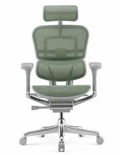 Кресло ERGOHUMAN ELITE 2 (EHE2-AG-HAM-5D-L, сетка T-168-B6 Green), эргономичное 2