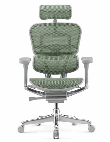 Кресло ERGOHUMAN ELITE 2 (EHE2-AG-HAM-5D-L, сетка T-168-B6 Green), эргономичное