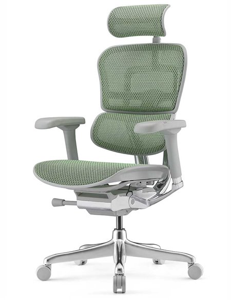 Кресло ERGOHUMAN ELITE 2 (EHE2-AG-HAM-5D-L, сетка T-168-B6 Green), эргономичное