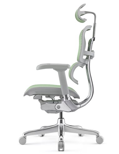 Кресло ERGOHUMAN ELITE 2 (EHE2-AG-HAM-5D-L, сетка T-168-B6 Green), эргономичное