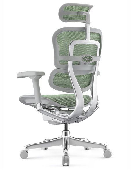 Кресло ERGOHUMAN ELITE 2 (EHE2-AG-HAM-5D-L, сетка T-168-B6 Green), эргономичное