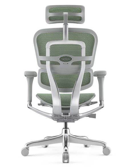 Кресло ERGOHUMAN ELITE 2 (EHE2-AG-HAM-5D-L, сетка T-168-B6 Green), эргономичное