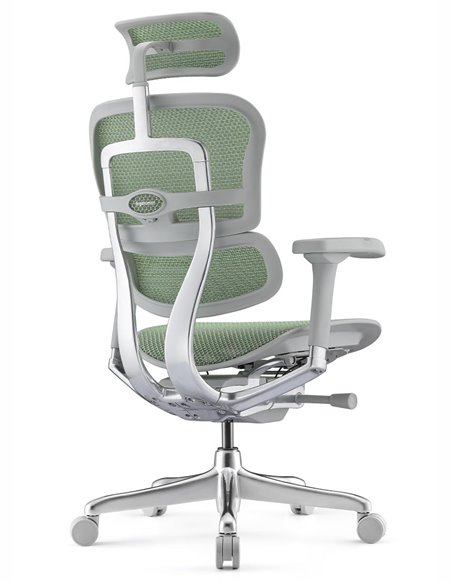 Кресло ERGOHUMAN ELITE 2 (EHE2-AG-HAM-5D-L, сетка T-168-B6 Green), эргономичное