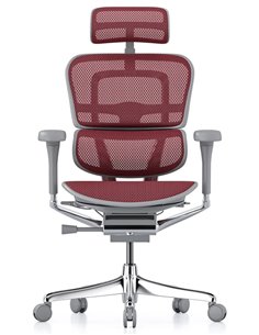 Кресло ERGOHUMAN ELITE 2 (EHE2-AG-HAM-5D-L, сетка T-168-B3 Scarlet), эргономичное