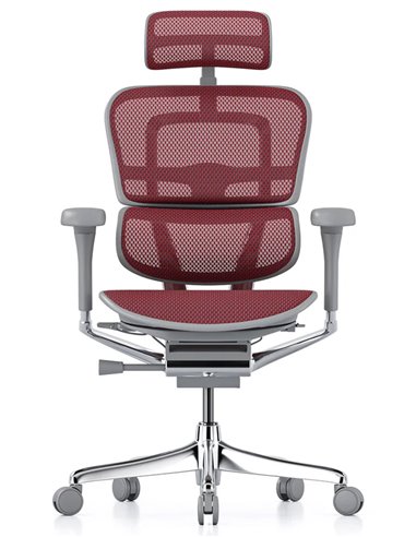 Кресло ERGOHUMAN ELITE 2 (EHE2-AG-HAM-5D-L, сетка T-168-B3 Scarlet), эргономичное