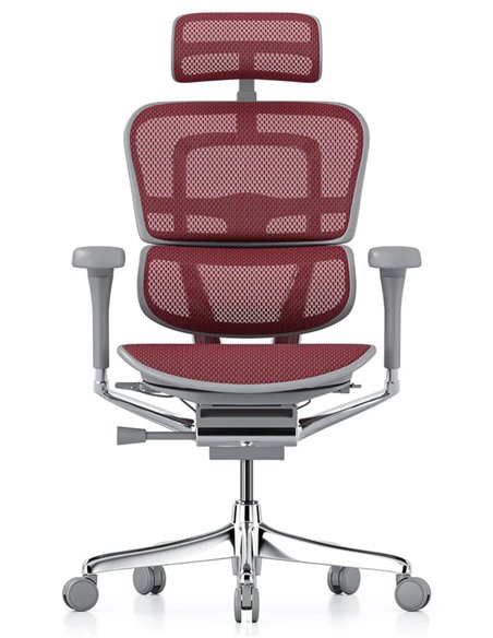 Кресло ERGOHUMAN ELITE 2 (EHE2-AG-HAM-5D-L, сетка T-168-B3 Scarlet), эргономичное