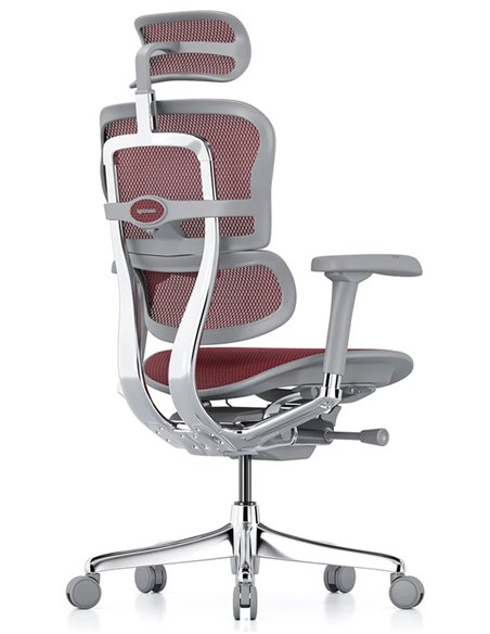 Кресло ERGOHUMAN ELITE 2 (EHE2-AG-HAM-5D-L, сетка T-168-B3 Scarlet), эргономичное