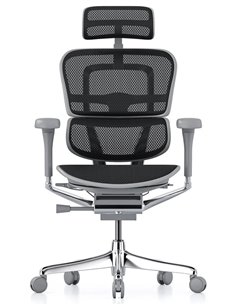 Кресло ERGOHUMAN ELITE 2 (EHE2-AG-HAM-5D-L, сетка T-168-B1 Black), эргономичное
