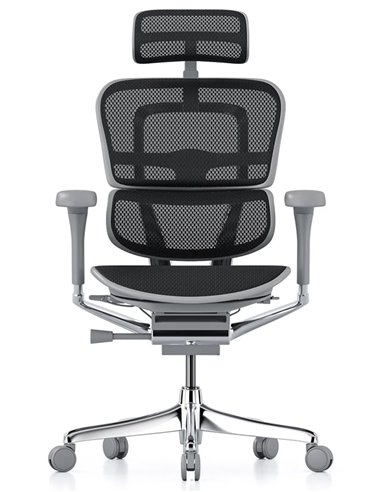 Кресло ERGOHUMAN ELITE 2 (EHE2-AG-HAM-5D-L, сетка T-168-B1 Black), эргономичное