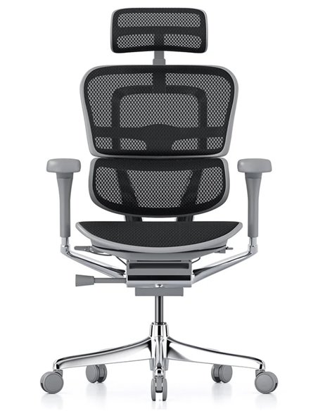 Кресло ERGOHUMAN ELITE 2 (EHE2-AG-HAM-5D-L, сетка T-168-B1 Black), эргономичное