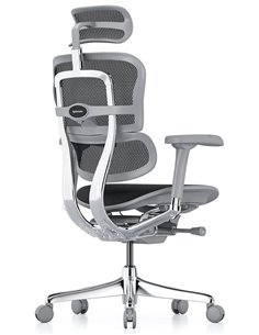 Кресло ERGOHUMAN ELITE 2 (EHE2-AG-HAM-5D-L, сетка T-168-B1 Black), эргономичное 2