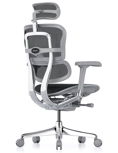 Кресло ERGOHUMAN ELITE 2 (EHE2-AG-HAM-5D-L, сетка T-168-B1 Black), эргономичное