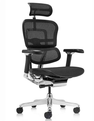 Кресло ERGOHUMAN LUXURY 2 (EHL2-AB-HAM-5D-L, сетка Т-168-B1 Black), эргономичное