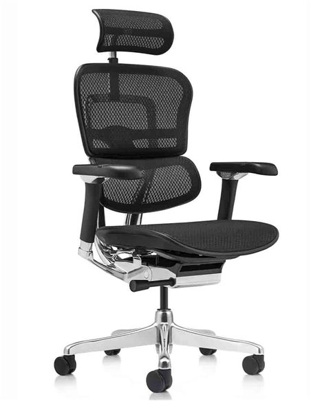 Кресло ERGOHUMAN LUXURY 2 (EHL2-AB-HAM-5D-L, сетка Т-168-B1 Black), эргономичное