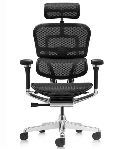 Кресло ERGOHUMAN LUXURY 2 (EHL2-AB-HAM-5D-L, сетка Т-168-B1 Black), эргономичное