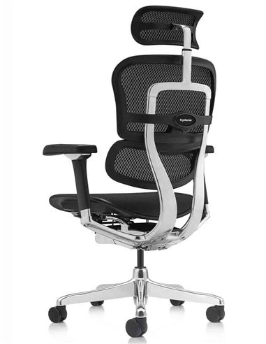Кресло ERGOHUMAN LUXURY 2 (EHL2-AB-HAM-5D-L, сетка Т-168-B1 Black), эргономичное