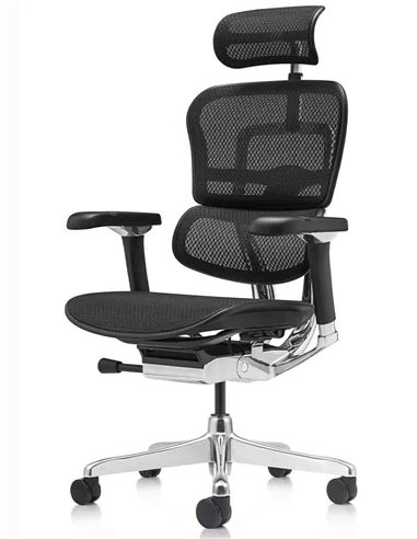 Кресло ERGOHUMAN LUXURY 2 (EHL2-AB-HAM-5D-L, сетка Т-168-B1 Black), эргономичное