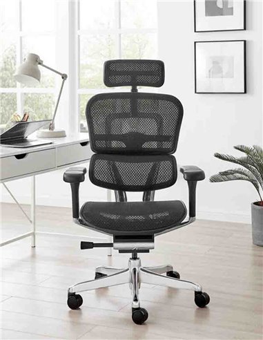 Кресло ERGOHUMAN LUXURY 2 (EHL2-AB-HAM-5D-L, сетка Т-168-B1 Black), эргономичное