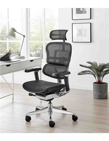 Кресло ERGOHUMAN LUXURY 2 (EHL2-AB-HAM-5D-L, сетка Т-168-B1 Black), эргономичное