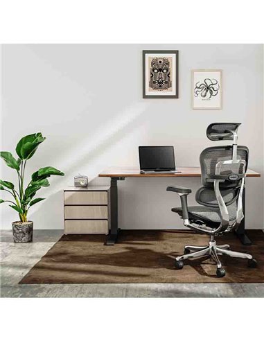 Кресло ERGOHUMAN LUXURY 2 (EHL2-AB-HAM-5D-L, сетка Т-168-B1 Black), эргономичное