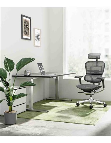 Кресло ERGOHUMAN LUXURY 2 (EHL2-AB-HAM-5D-L, сетка Т-168-B1 Black), эргономичное