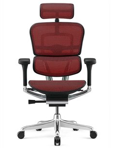 Кресло ERGOHUMAN LUXURY 2 (EHL2-AB-HAM-5D-E-L, сетка Т-168-B3 Scarlet), эргономичное