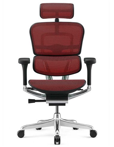 Кресло ERGOHUMAN LUXURY 2 (EHL2-AB-HAM-5D-E-L, сетка Т-168-B3 Scarlet), эргономичное
