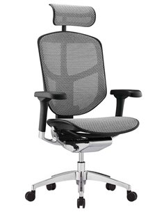 Кресло ENJOY ELITE 2 (EJE2-AB-HAM-5D-L, сетка T-168-B2 Natural), эргономичное