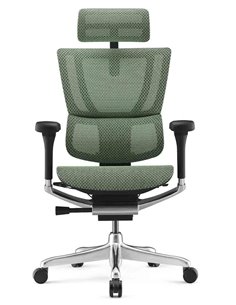 Кресло MIRUS-IOO 2 (IOOE2-AB-HAM-5D-L, сетка Т-168-B6 GREEN), эргономичное 2