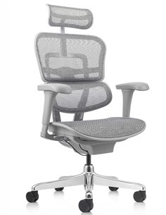 Кресло ERGOHUMAN PROJECT 2 GREY, эргономичное