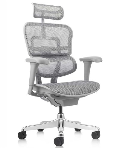 Кресло ERGOHUMAN PROJECT 2 GREY, эргономичное