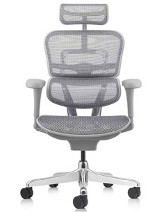Кресло ERGOHUMAN PROJECT 2 GREY, эргономичное 2