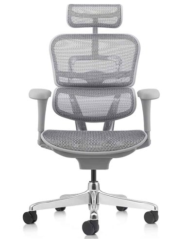 Кресло ERGOHUMAN PROJECT 2 GREY, эргономичное