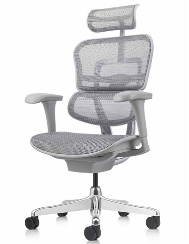 Кресло ERGOHUMAN PROJECT 2 GREY, эргономичное