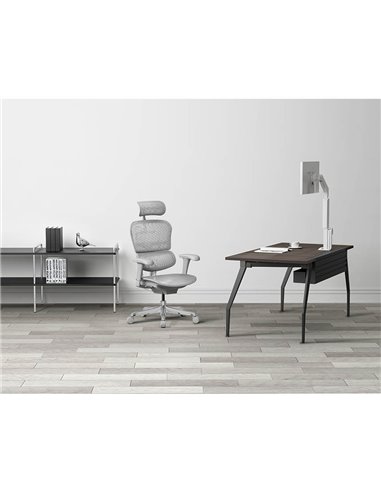 Кресло ERGOHUMAN PROJECT 2 GREY, эргономичное