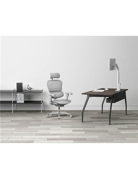 Кресло ERGOHUMAN PROJECT 2 GREY, эргономичное